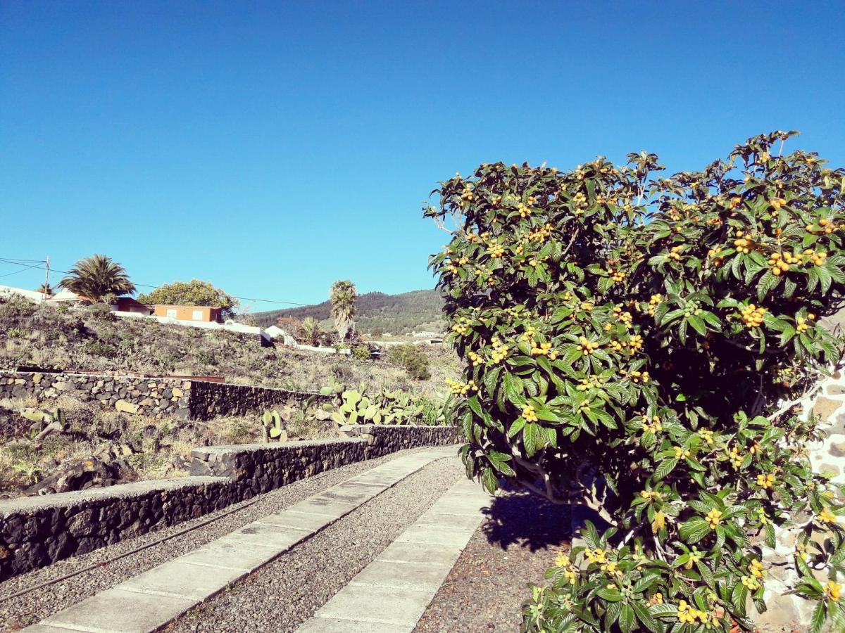 Sea And Mountain View Apartment Los Llanos De Aridane Exterior foto